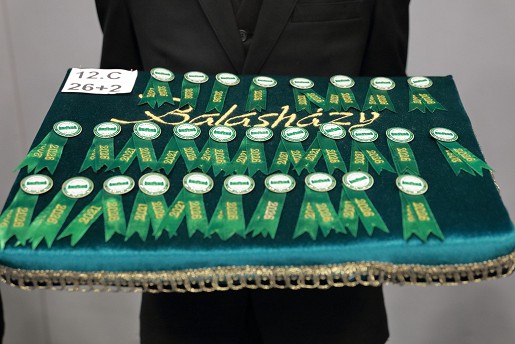 Szalagtűző fotózás